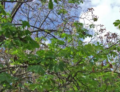 Прикрепленное изображение: DSCF6012.jpg